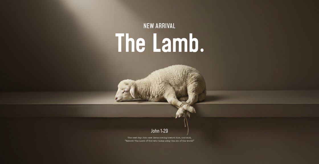 Lamb of God Collection